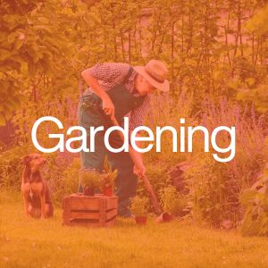 Gardening in san miguel de allende